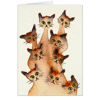 Chats lunatiques de Joliet