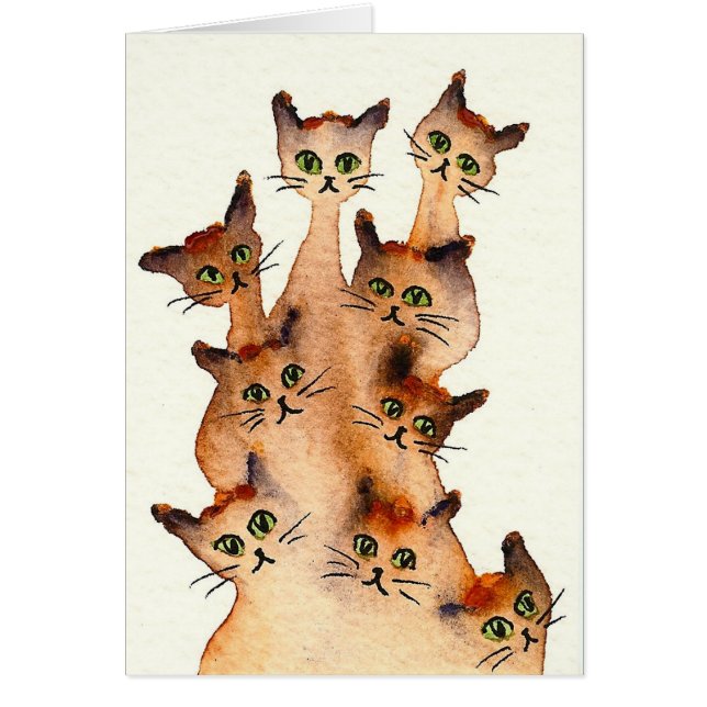 Chats lunatiques de Joliet (Devant)