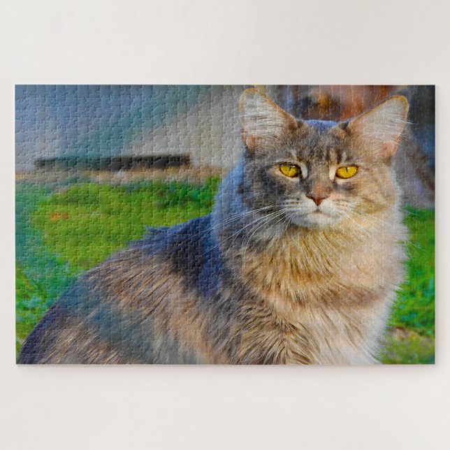 Chats Maine Coon. Puzzle (Horizontal)