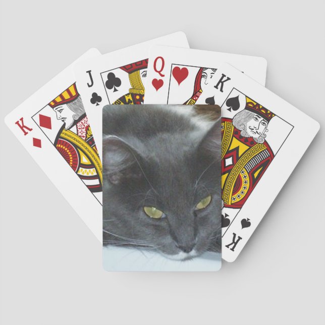 Chats Miaulent 8 Cartes à Jouer (dos)