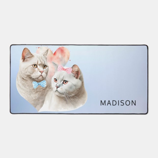 Chats mignons (Recto)