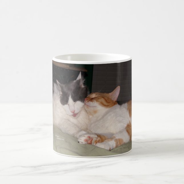 Chats mignons Chats couchés Règle Mug (Centre)