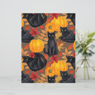 Chats noirs et citrouilles 2