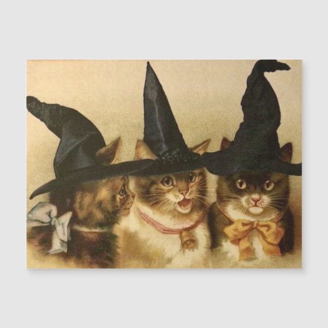 Chats noirs Halloween vintage (Devant)