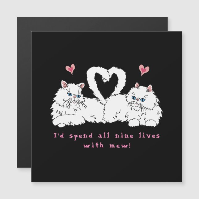 Chats Persans Blancs avec des Cœurs (Devant / Derrière)