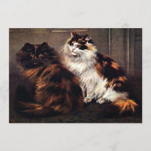 Chats perses Tortoiseshell #Caturday Invitation