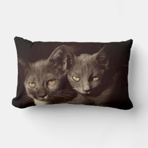 Chats Photo Lumbar Coussin 33 cm x 53 cm