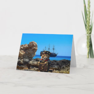 Chats pirates. Carte