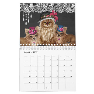 Chats portant le calendrier de casquettes