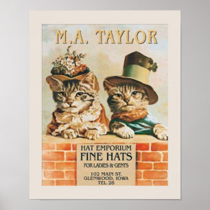 Chats portant une affiche Casquette