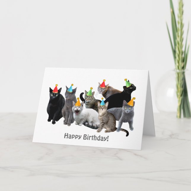 Chats Portant une Casquette de fête Carte d'annive (Devant)