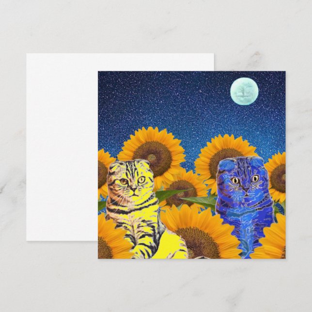 Chats pour l'Ukraine (Devant / Derrière)