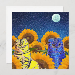 Chats pour l'Ukraine