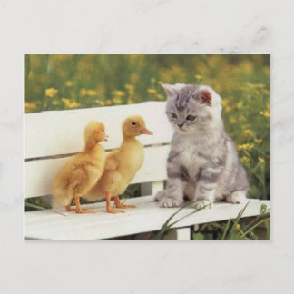 Chats précieux, Cartes de chatons, Cadeaux - Perso