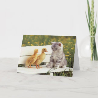 Chats précieux, Cartes de chatons, Cadeaux - Perso