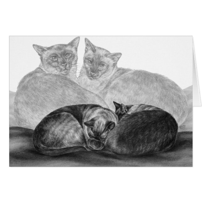 Chats siamois Dessin de Kelli Swan (Devant Horizontal)