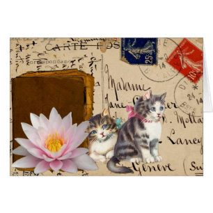 Chats Vintage et Livre