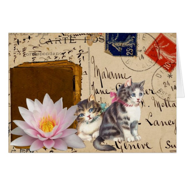 Chats Vintage et Livre (Devant horizontal)