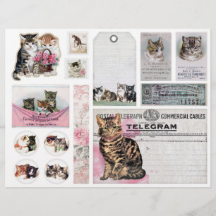 Chats vintage Helena Maguire, Coupes délicates de