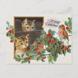 Chats vintages et carte postale de vacances oiseau