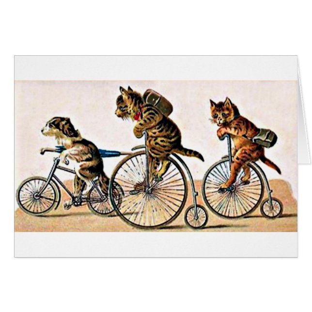 Chats vintages et chien sur un vélo (Devant horizontal)