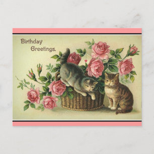 Chats vintages Roses roses Panier Floral Carte pos