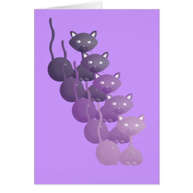 Chats violets relaxants (Devant)