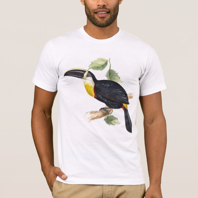 Chatte birds, tshirts hommes (Devant)