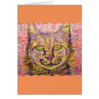chatte du jour ensoleillé
