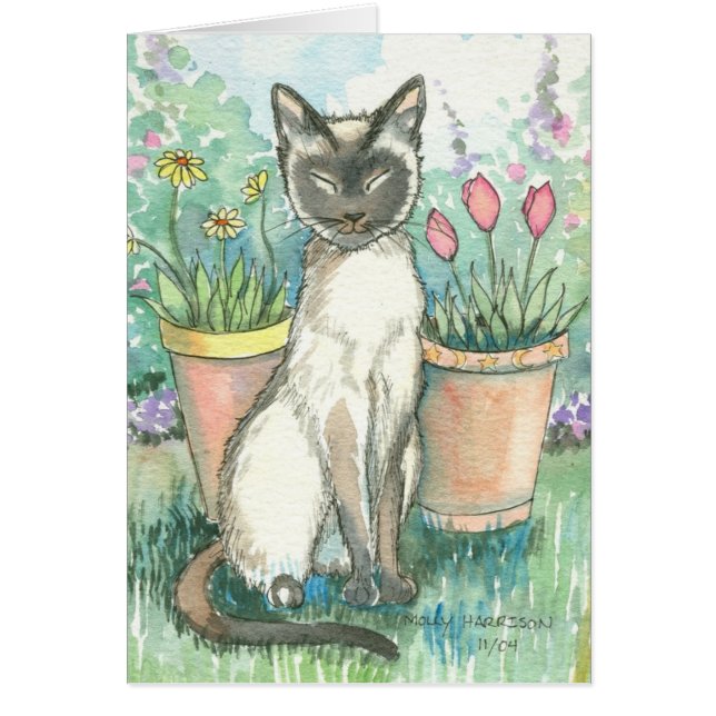 Chatte siamoise dans la carte de jardin (Devant)