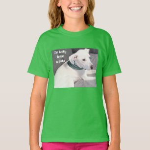 Chaud Chien Chien Chic Portant Un T-Shirt Écharpe 