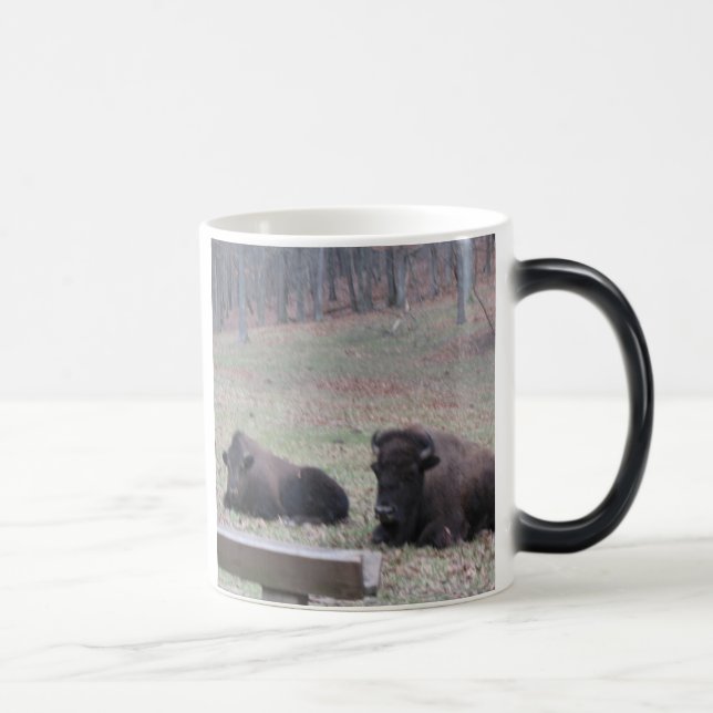 Chaud ou froid ? Tasse (Droite)