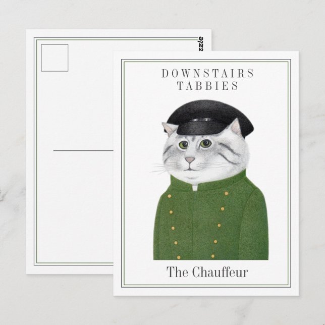 CHAUFFEUR DE CHAT Carte postale (Devant / Derrière)