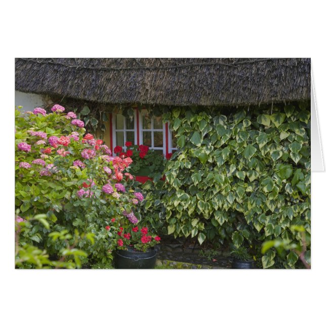 Chaumière, Adare, comté de Limerick, (Devant horizontal)