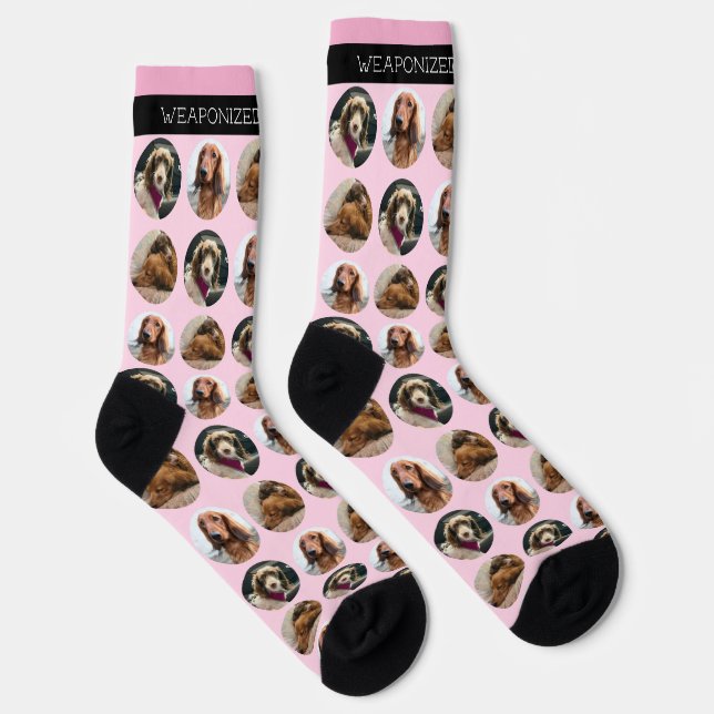 Chaussette 3 Chaussettes d'équipage Photo Dachshund (Droite)