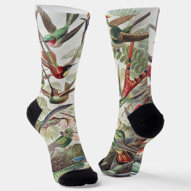 Chaussette Affiche vintage d'Ernst Haeckel représentant des c (Angulaire)