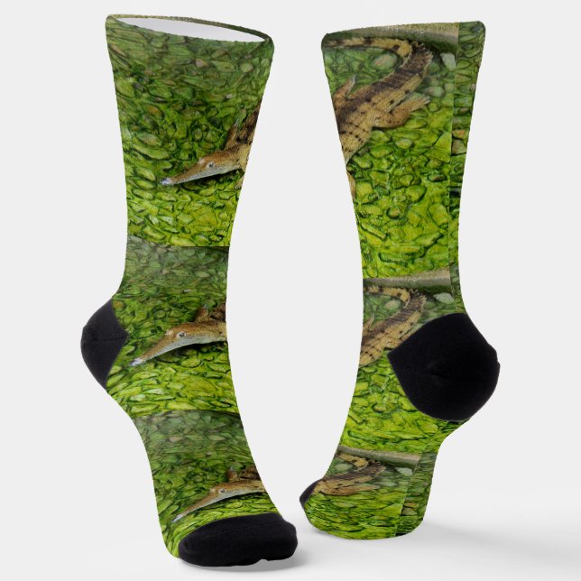 Chaussette Alligator de natation, Chaussettes d'équipage (Angulaire)