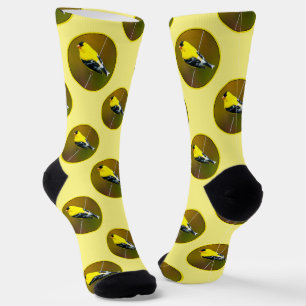 Chaussette American Goldfinch Songbird Photo originale