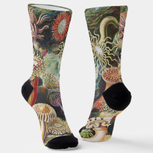 Chaussette Anémones de mer de Haeckel Collage d'art de vie na