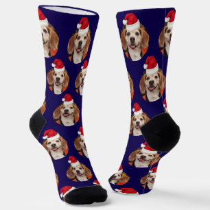 Chaussette Animaux de compagnie Photo mignonne Bleu foncé Cha