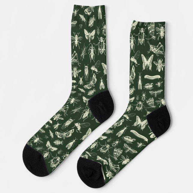 Chaussette Antiques Scientifiques Insectes Crème et Vert (Gauche)