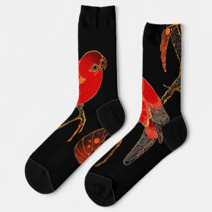 Chaussette Art du perroquet rouge