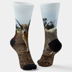 Chaussette Bétail sur la perte : Highland Cows Blé Heist