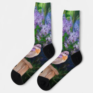 Chaussette Bleuet de l'Est en neige - Photo originale