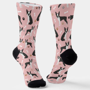 Chaussette Boston Terrier Bones and Paws Chaussettes