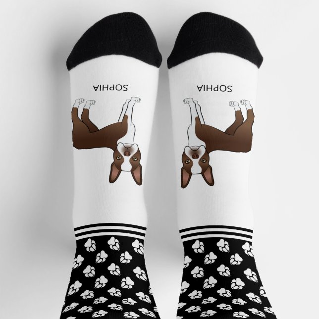 Chaussette Brun au Chocolat Boston Terrier Avec Nom Et Pattes (Haut)