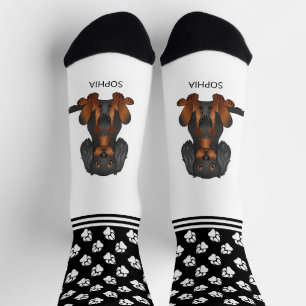 Chaussette Cavalier noir et fauve avec nom et pattes