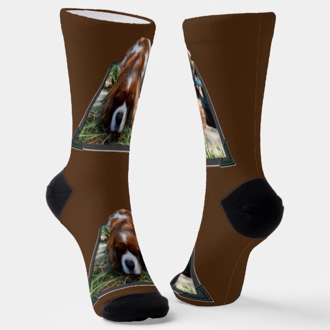 Chaussette Cavalier Spaniel Popout Art, Chaussettes d'équipag (Angulaire)
