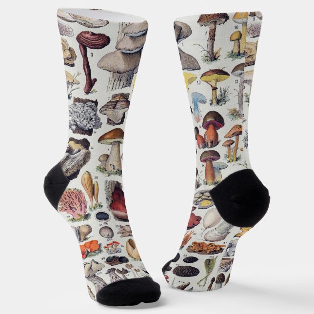 Chaussette Champignons 2 (Angulaire)