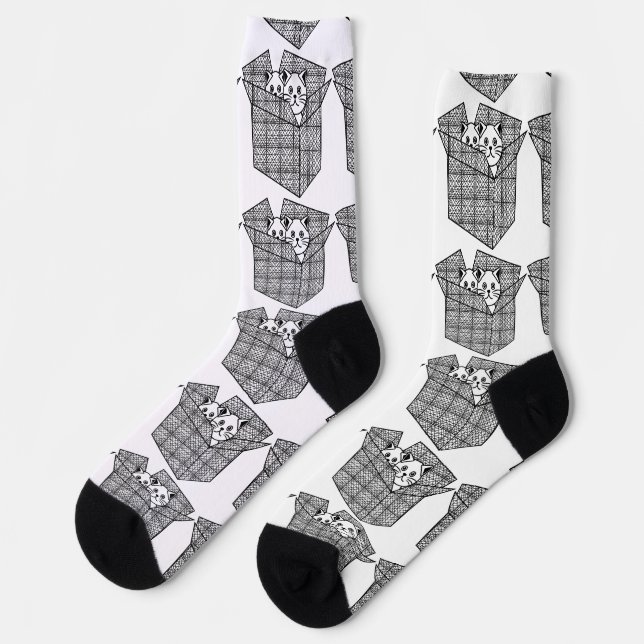 Chaussette Chatons dans une boîte Thunder_Cove (Gauche)